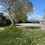 Bellora Villa Cortona